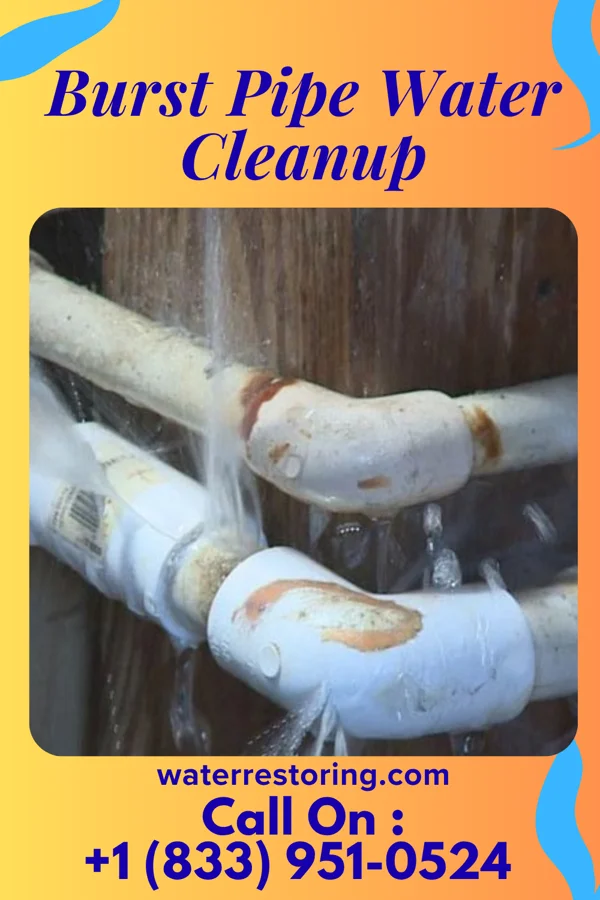 Burst Pipe Water Cleanup in Fullerton, ND